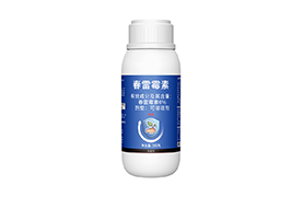 6%春雷霉素
