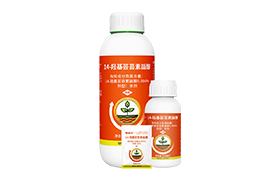 14羟基芸苔素甾醇